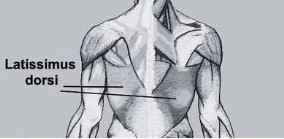 lat muscle pain