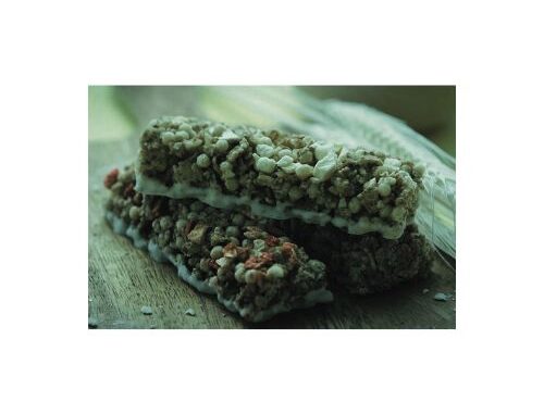 protein bars for diabetics